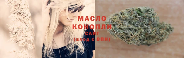индика Карпинск