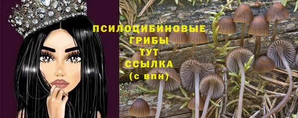 первитин Каменногорск