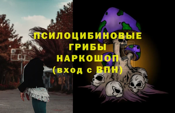 индика Карпинск